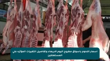 أسعار اللحوم بأسواق مطروح اليوم الأربعاء وتفاصيل التغيرات المؤثرة على المستهلكين